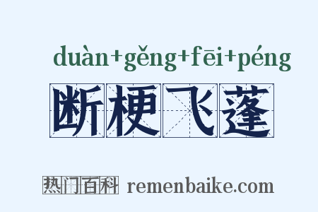 断梗飞蓬是什么意思的图片